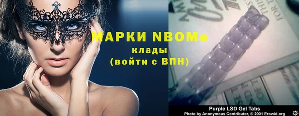 ешки Алексин