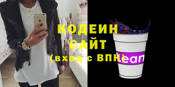гашик Гусев